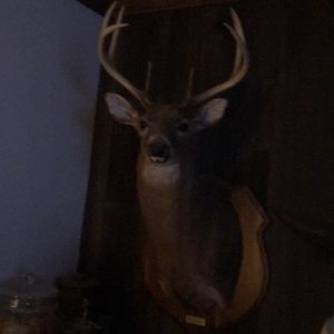 Meet your Posher, Darrell